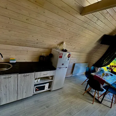 Welkome Appartement Verkhovyna